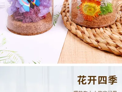 Preserved Dry Flowers Glass Dome Ornament DIY Craft Kit for Wholesale