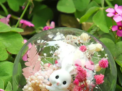 Preserved Dry Flowers Glass Dome Ornament DIY Craft Kit for Wholesale